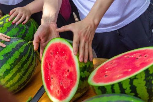 北京免费吃瓜,北京市民共享清凉好时光